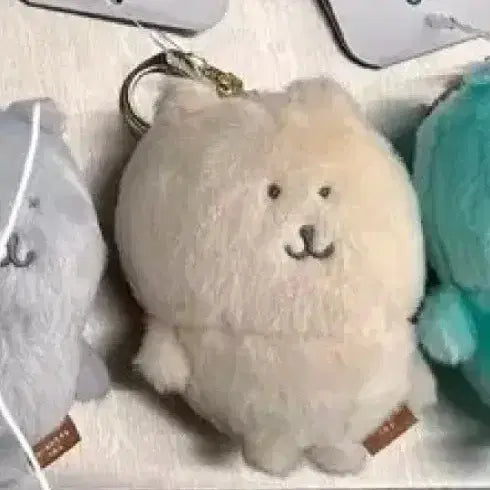 나가노 마켓 팝업 한국한정 컬러곰 농담곰 베이지