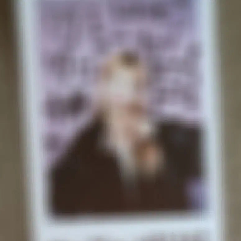 트라이비 소은 방소은 싸인 폴라 폴라로이드 TRIBE TRI.BE 미공포