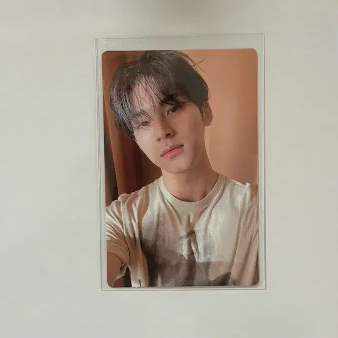 세븐틴 민규 페더썬 캐럿반 포카