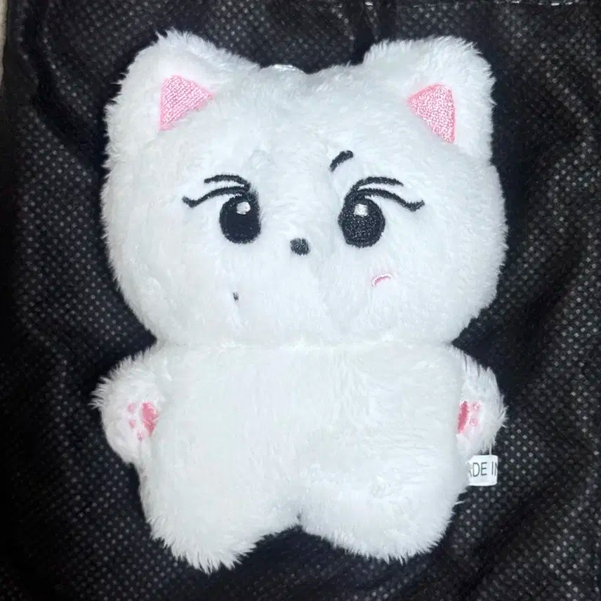 엔하이픈 정원 인형 양꼬미