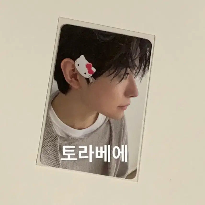 스테디 프시케 키티 유우시 포카