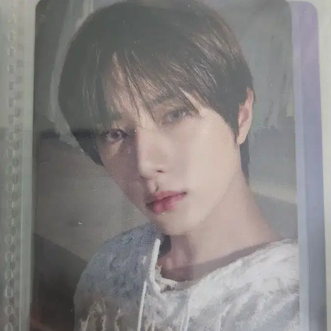 투바투 아궁빵 생츄어리 엔젤 범규 위버스 특전