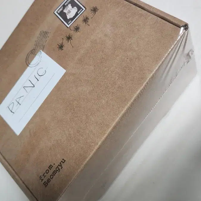 미개봉 패닉 앨범 팔아요 범규솔로 믹테 미개봉 위버스특전포함