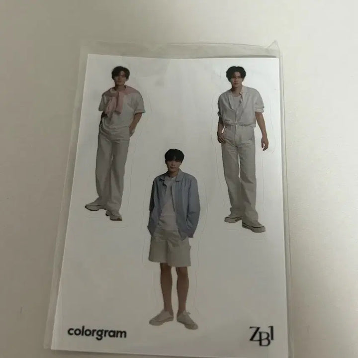 제베원 컬러그램 리무버블 스티커 (하오, 리키, 건욱) 제로베이스원