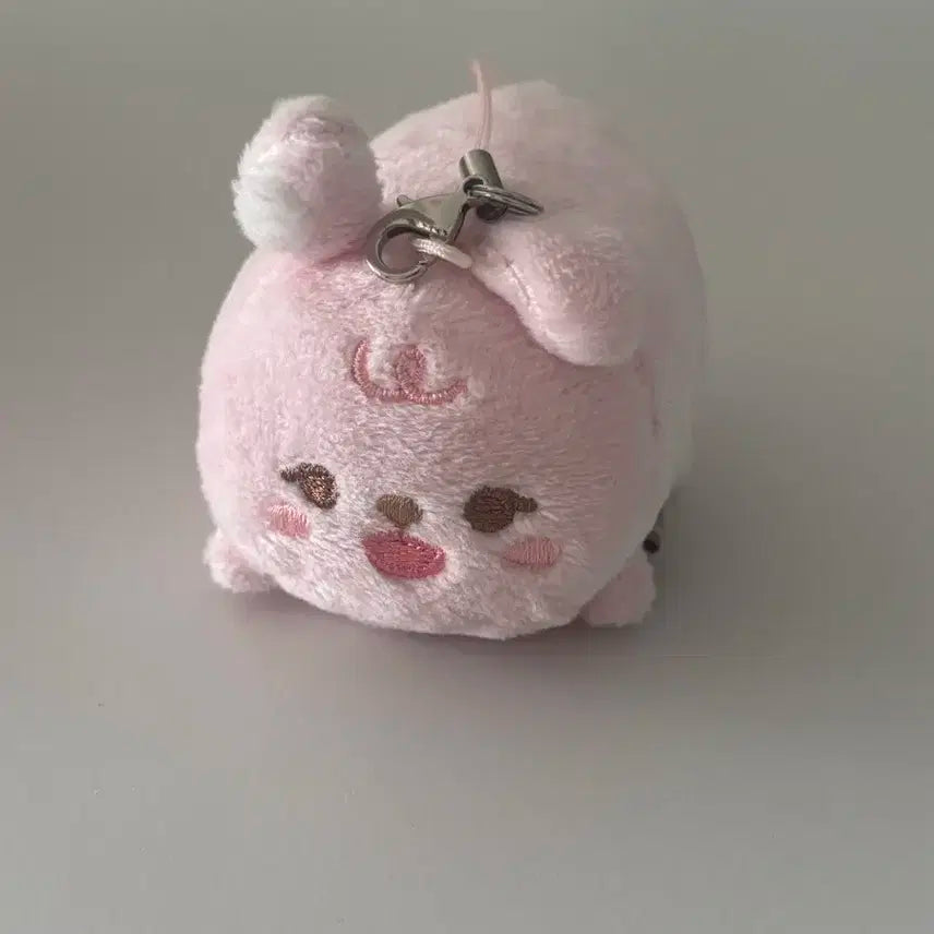 데이식스 데니멀즈 쁘띠멀즈 사족보행 필