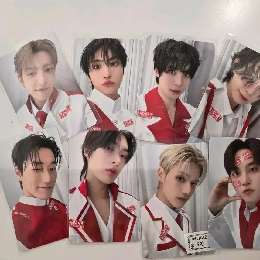 에이티즈 애니티즈 팝업 5만원 특전 포카세트