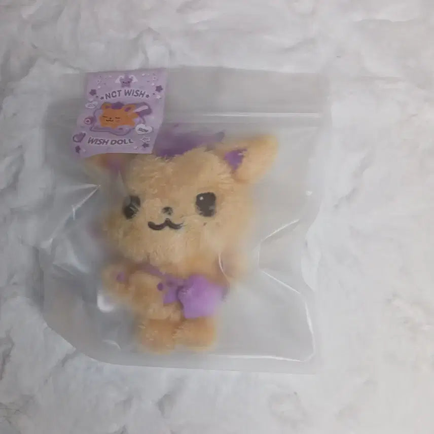 위시 인형 시오닝 미개봉 양도