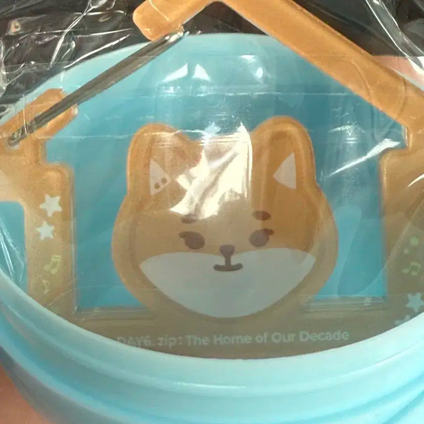 데이식스 팝업 가챠 영케이 케 카라비너 양도