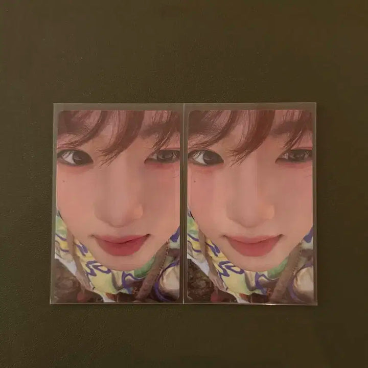 엔시티위시 사쿠야 컬러 포카 일괄양도합니다!