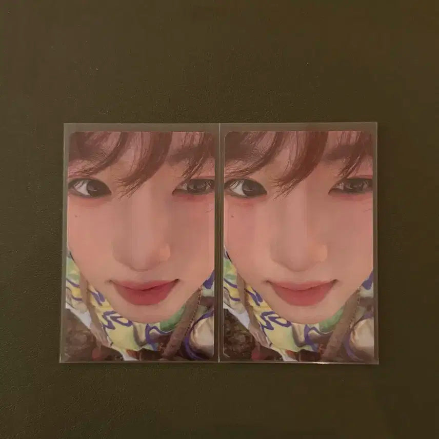 엔시티위시 사쿠야 컬러 포카 일괄양도합니다!