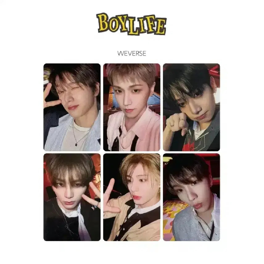 최저가!!) 보넥도 일본앨범 보이라이프 위버스 재팬 세트 양도