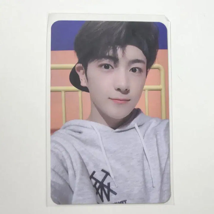 더보이즈 현재 블블 블룸블룸 공방 포카 양도 해요