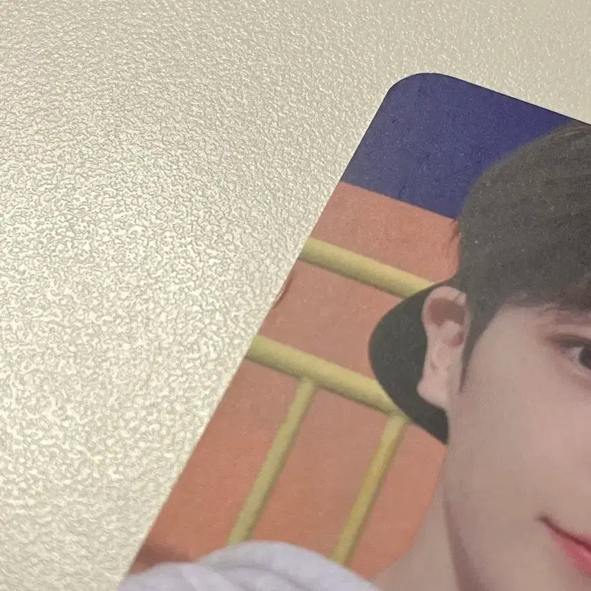 더보이즈 현재 블블 블룸블룸 공방 포카 양도 해요