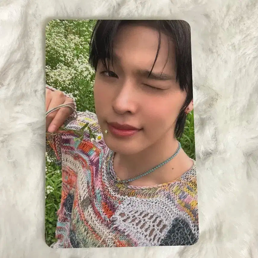 엔시티위시 컬러 앨범 미공포 애플뮤직 포카 리쿠