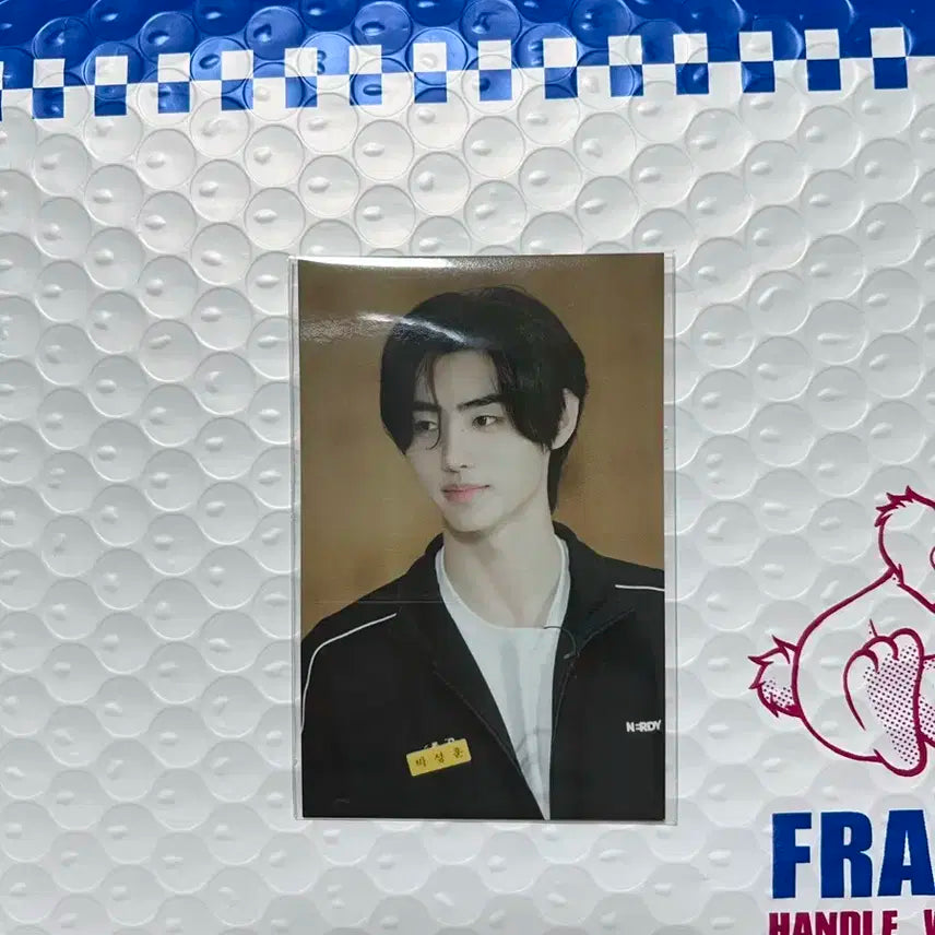 엔하이픈 성훈 엔어클락 엔하이스쿨 위버스 특전 포카