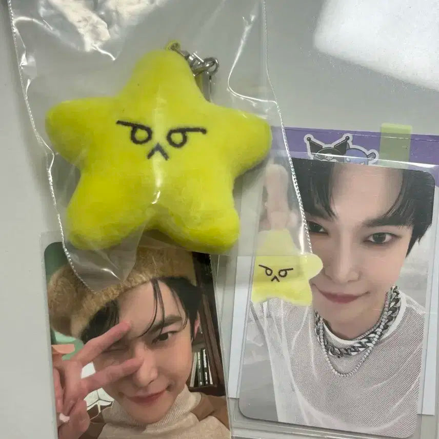 뎡가사리 도가사리 포카포함 개봉 1회 외출