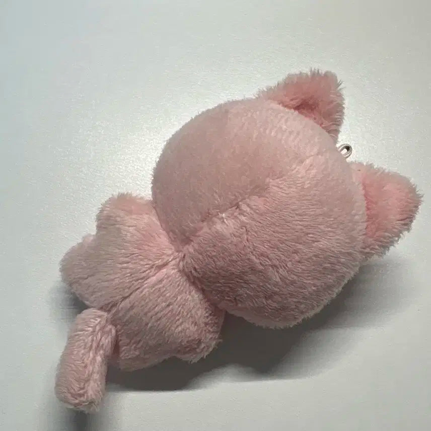 투바투 말랑쭌 팔아요