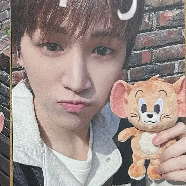 보이넥스트도어 보넥도 보이라이프 boylife 포카 양도