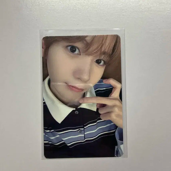 디마뮤 럭드 료 포카 양도 / 판매