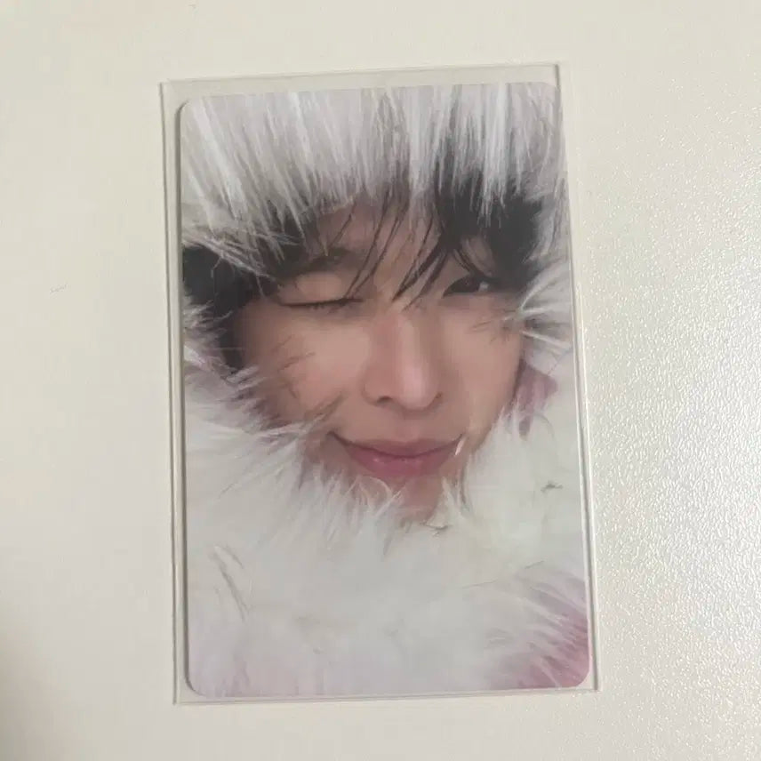 위시 컬러 포토북 초회한정 미라클 리쿠 양도