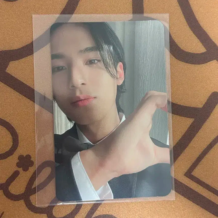 세븐틴 민규 fml 캐럿반 포카 양도