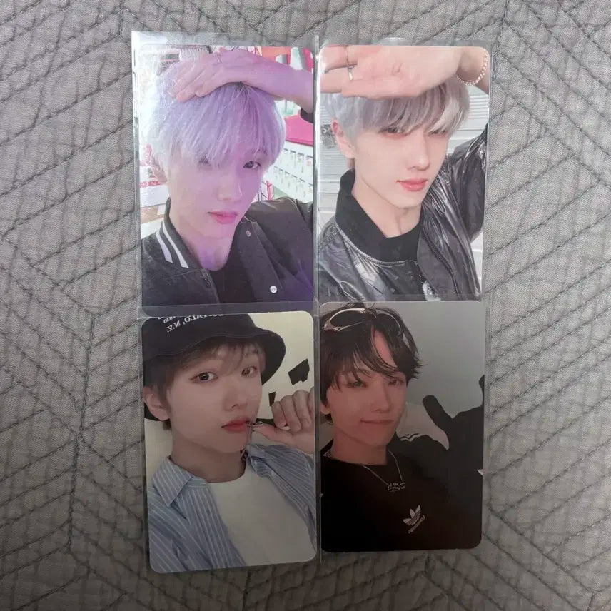 엔시티 지성 포카 일괄 양도합니다