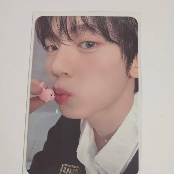 제베원 한유진 공방포카 양도