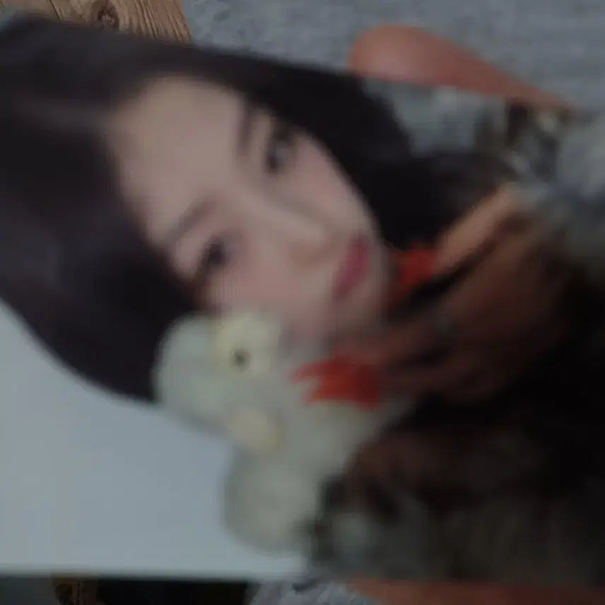 키스오브라이프 하늘 포카+늑대인형 일괄