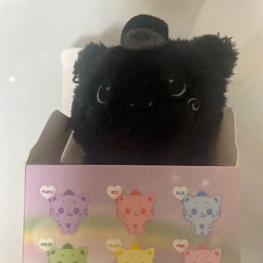 엔시티 위시 위시돌 쿠리 리쿠 스페셜 블랙