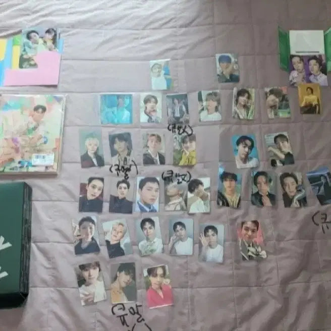 세븐틴 앨범 포카들 일괄 양도