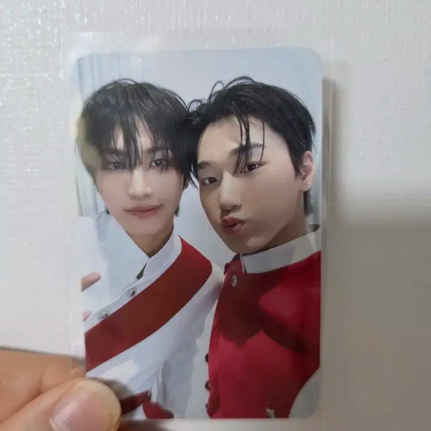 애니티즈 인 더 콜링 에이티즈 산성화 포카