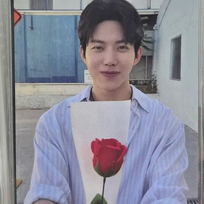 데이식스 day6 도운 5만원포카 장미