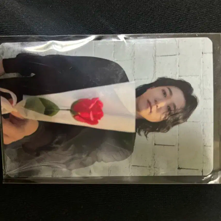 데이식스 성진 고양콘 포카