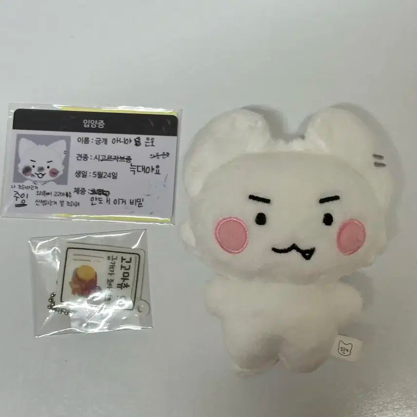 암긍개 특전포함 플레이브 은호 인형