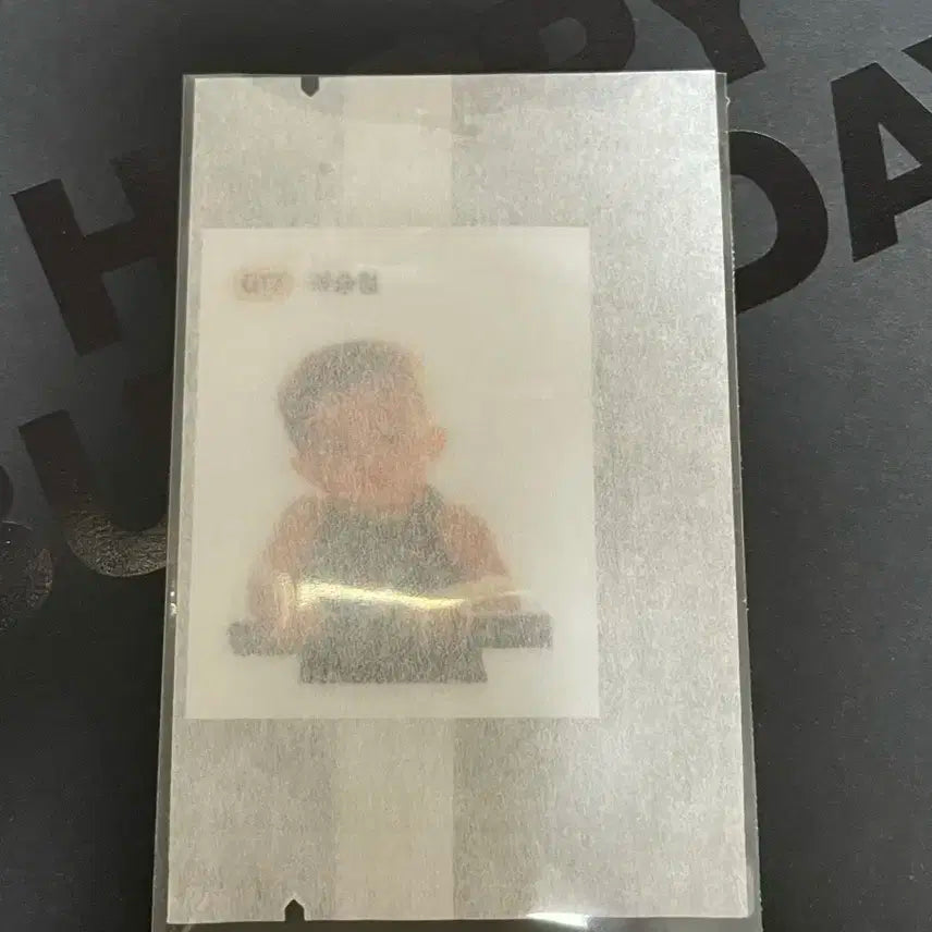 세븐틴 사녹 역조공 띠부씰 (에스쿱스)