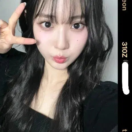 트리플에스 서연 D310