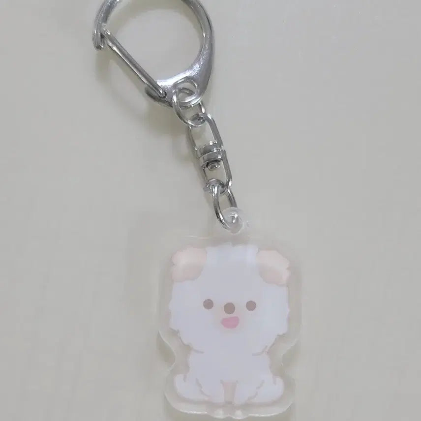 데이식스 피날레콘 md포카 도운