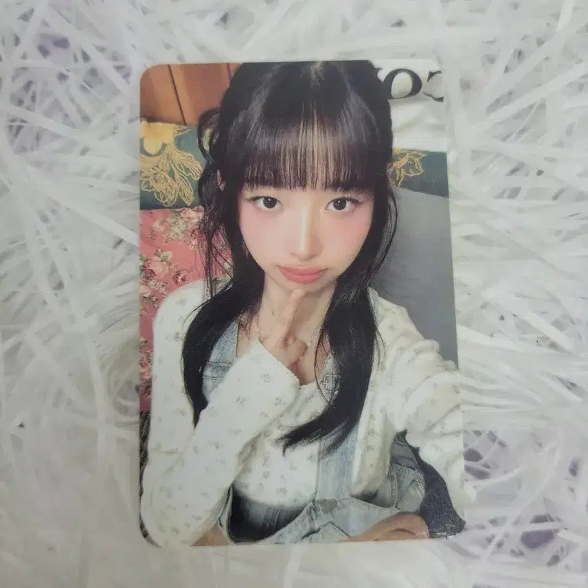 아이브 스카우트  팬콘 레이 포카 양도