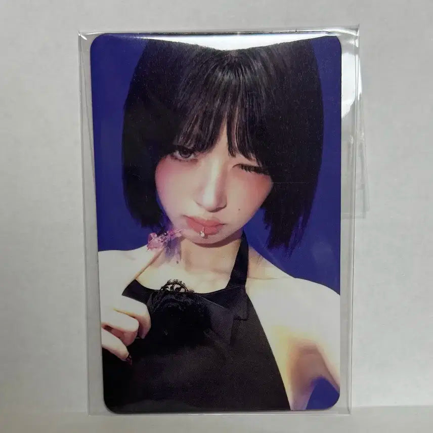 아이브 레이 공방포카 xoxz 공방포카 레이포카 아이브포카