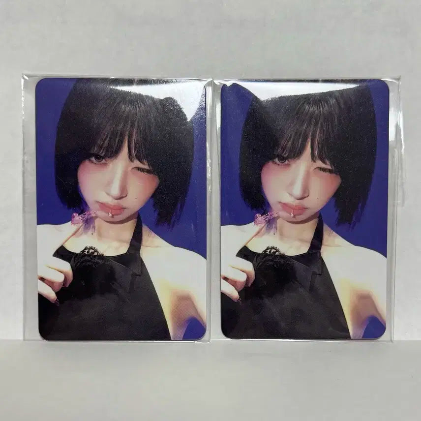 아이브 레이 공방포카 xoxz 공방포카 레이포카 아이브포카