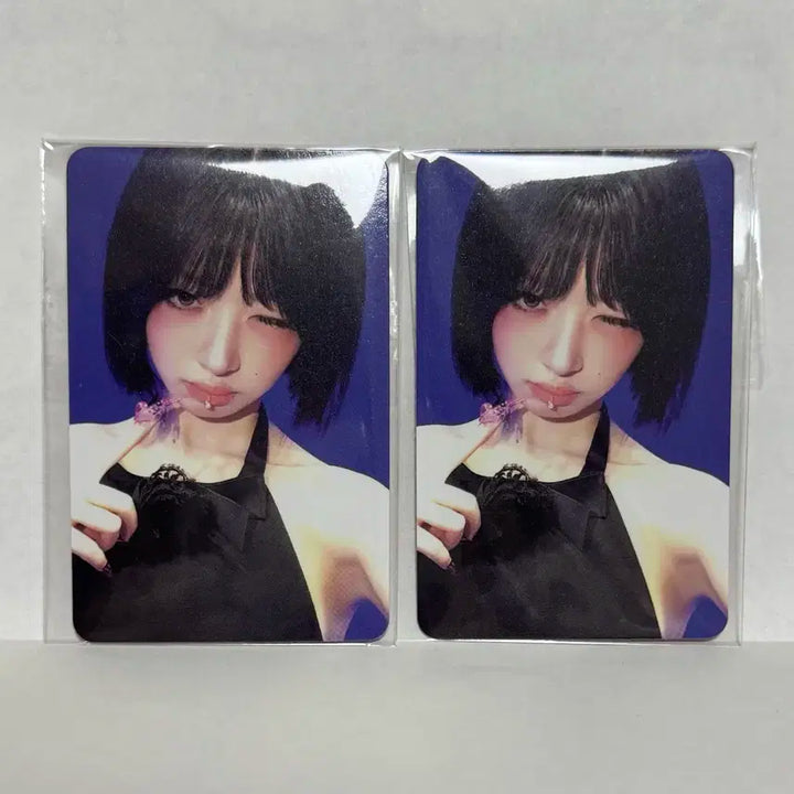 아이브 레이 공방포카 xoxz 공방포카 레이포카 아이브포카