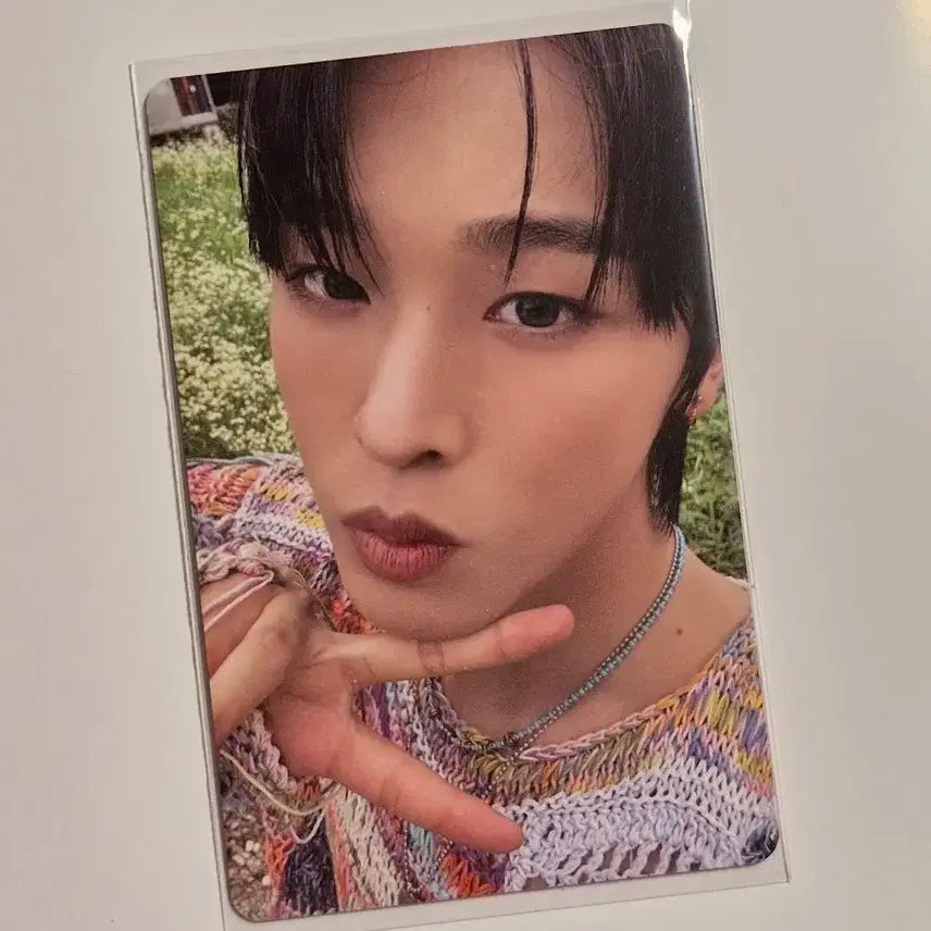 위시 컬러 리쿠  포카