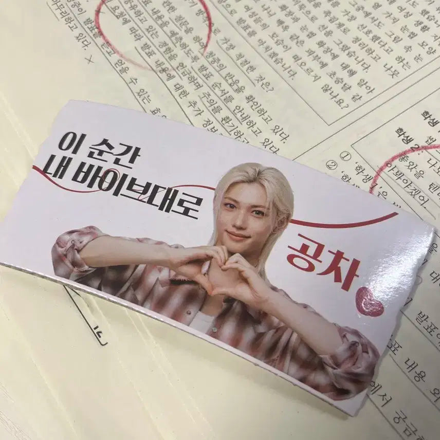 스트레이키즈 필릭스 공차