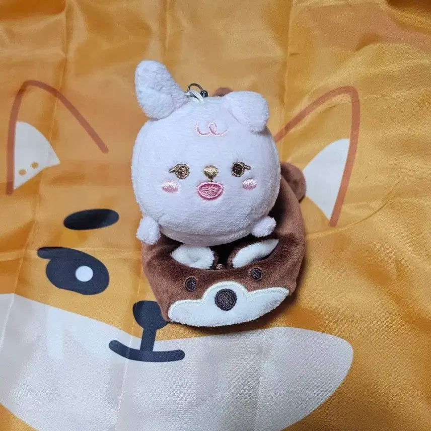 데이식스 쁘멀필 양도