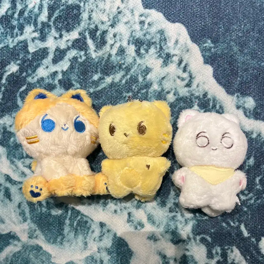 태민 찌즈 등 비공굿 인형 일괄