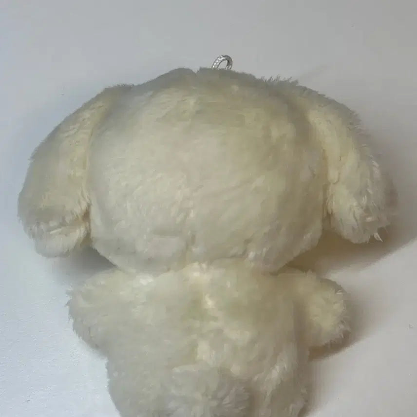 Nct 정우 정블리