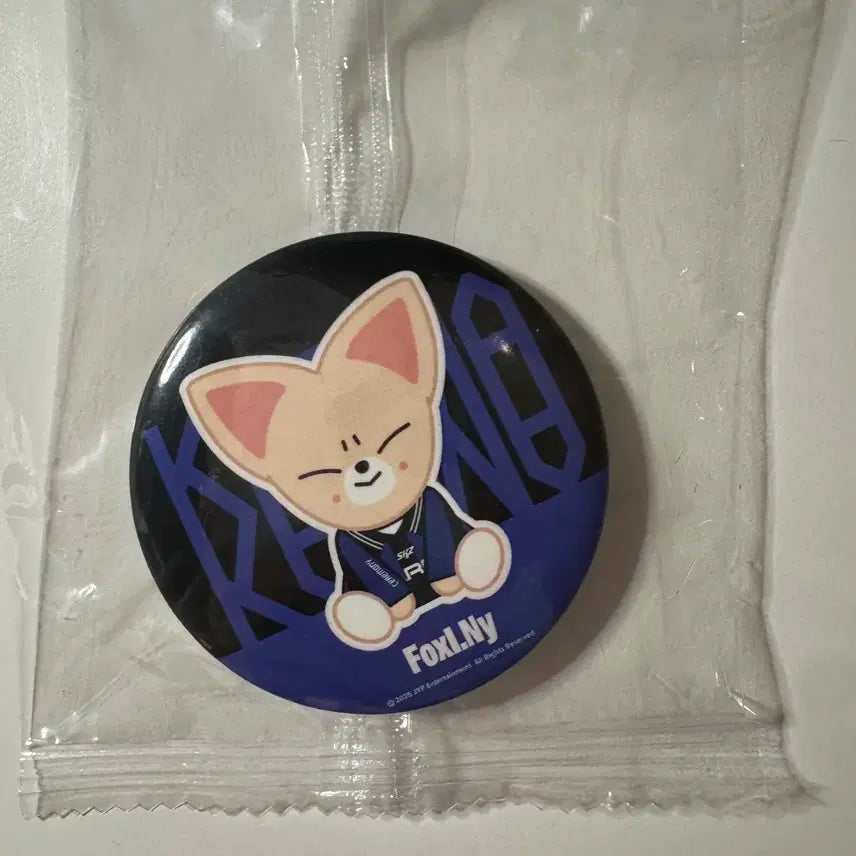 스키즈 스키주 카르마 팝업 거울 폭시니 아이엔