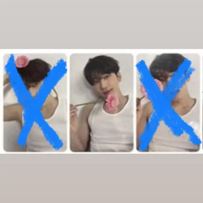 17 Is right here 원우 포카