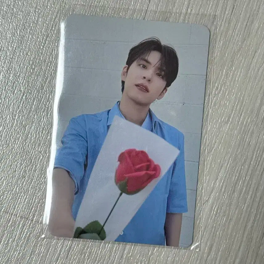 데이식스 데케이드 고양콘 오프라인 5만원 포카 원필 꽃