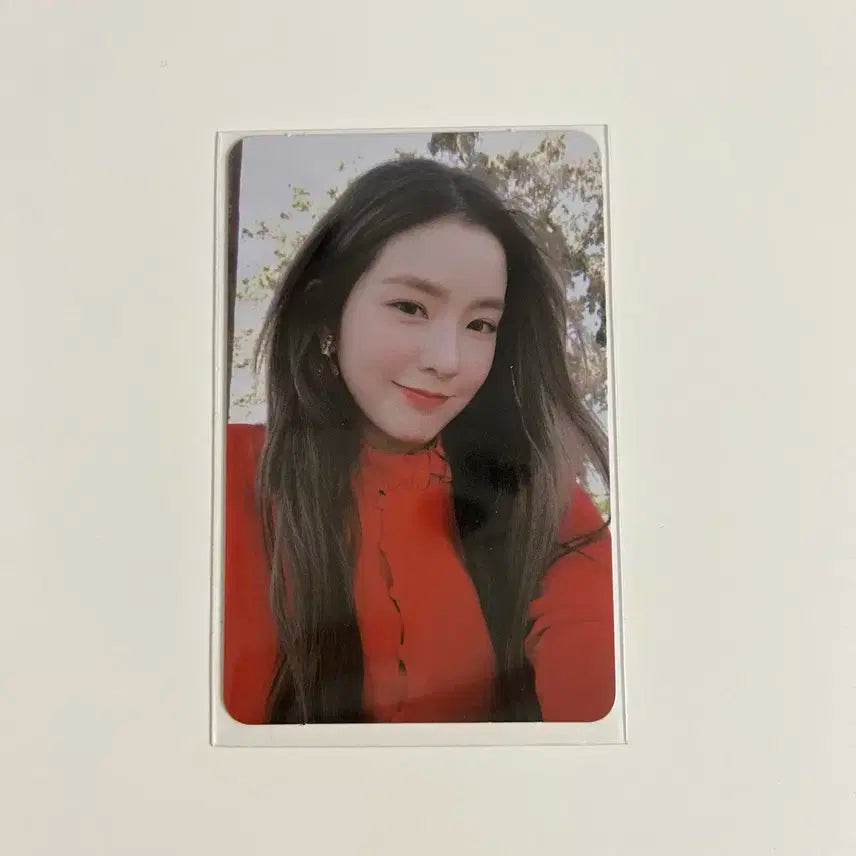 레드벨벳 아이린 피카부 포카